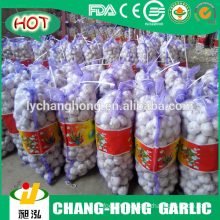 [Hot Sale] Chinese fresh pure white garlic